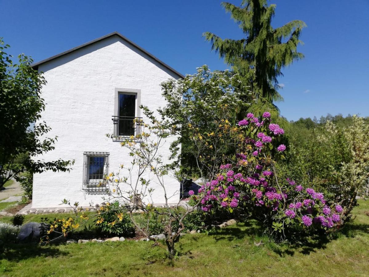 Appartamento Fahrenbach-Alm Tröstau Esterno foto