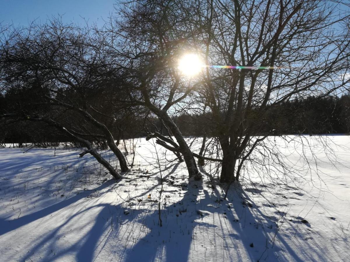 Appartamento Fahrenbach-Alm Tröstau Esterno foto