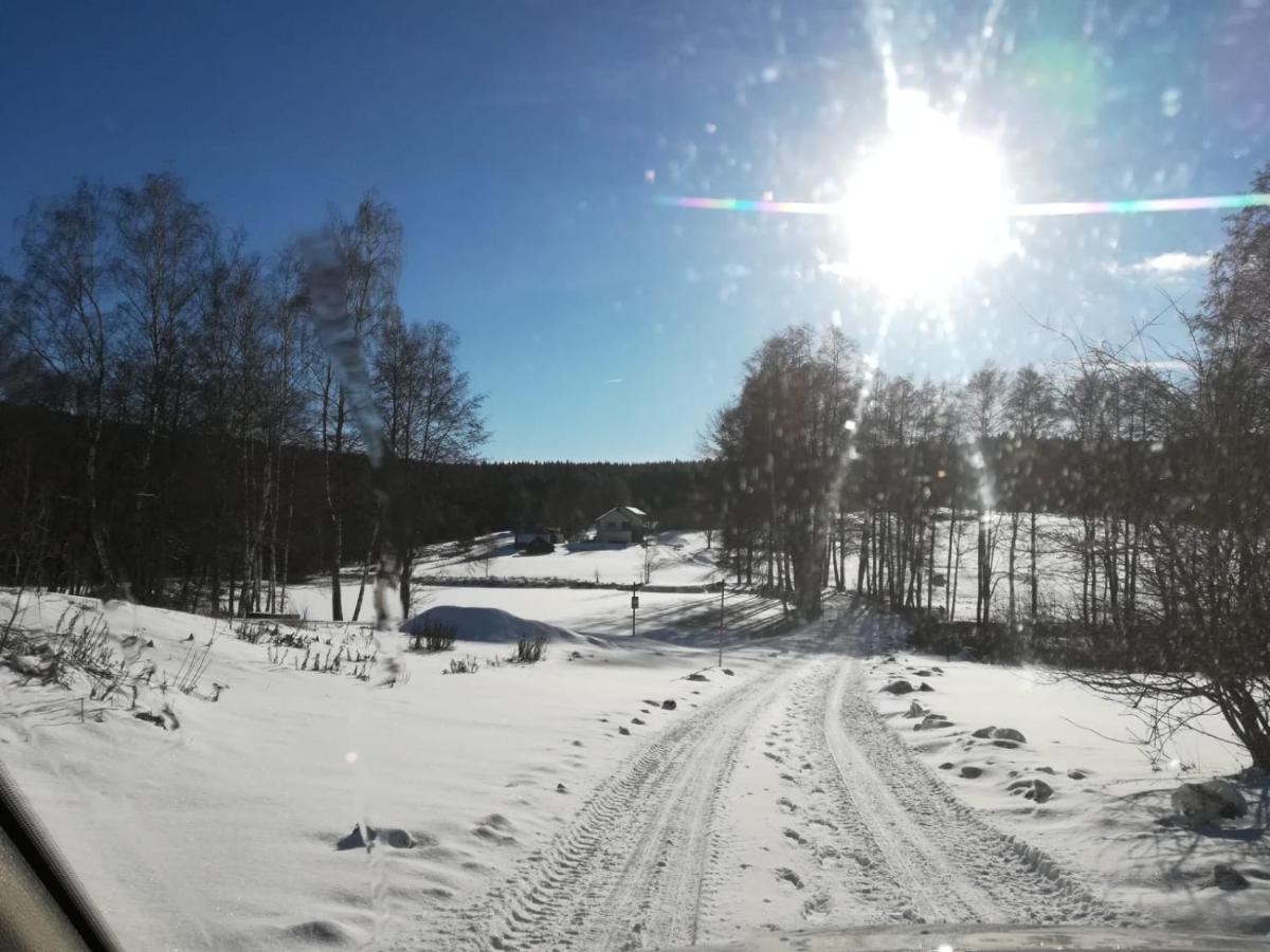 Appartamento Fahrenbach-Alm Tröstau Esterno foto